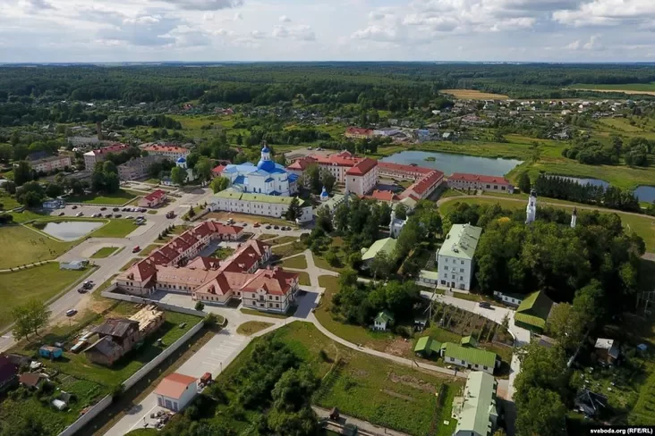 Žyrovičy z vyšyni ptušynaha palotu