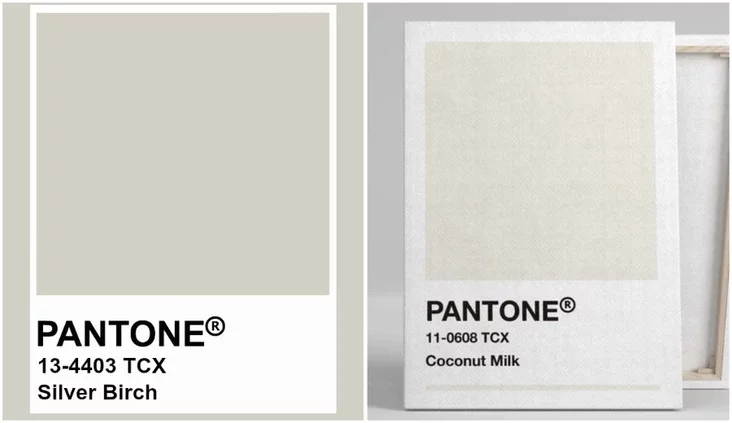 Pantone Coconut milk Silver birch