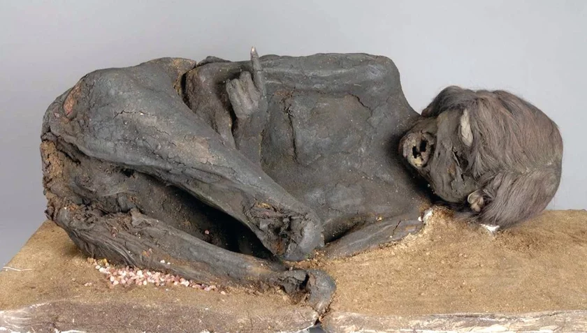 Мумія жанчыцы з імерыі Інкаў Мумия женщины из империи Инков Mummy of a woman from the Inca Empire