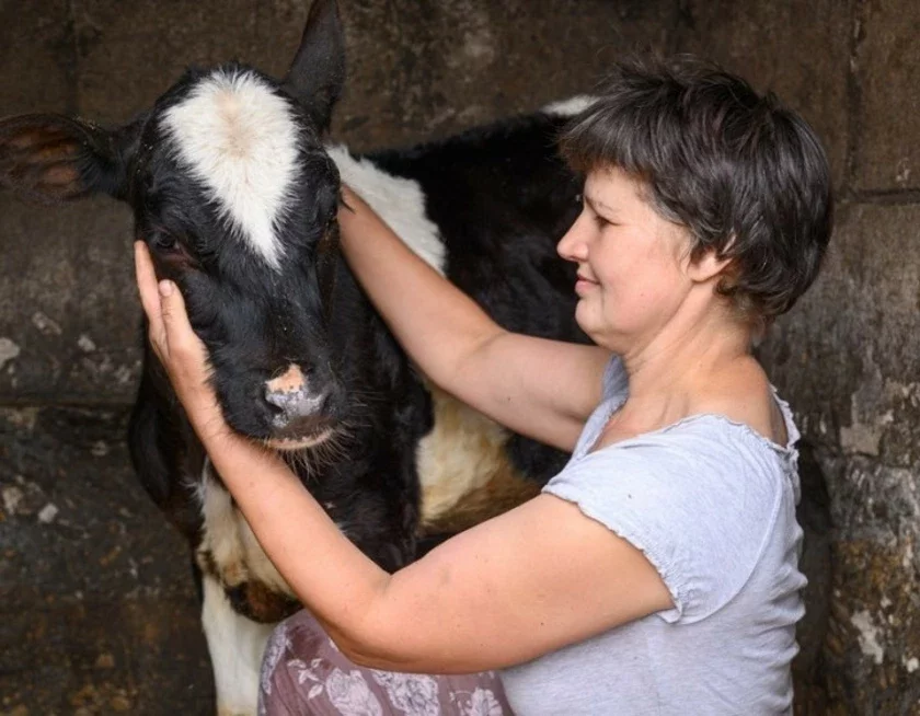 «U mienia jesť vsie, kromie strausov!» Kak bobrujčanka podrabatyvajet na podsobnom choziajstvie